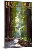Henry Cowell Redwoods State Park - Pathway in Trees-Lantern Press-Mounted Art Print