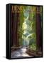 Henry Cowell Redwoods State Park - Pathway in Trees-Lantern Press-Framed Stretched Canvas