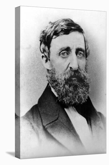 Henry David Thoreau, American Author-Science Source-Stretched Canvas