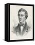 Henry David Thoreau American Writer-null-Framed Stretched Canvas