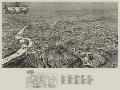 Just the Print