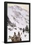 Essential Black