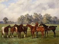 A Group of Polo Ponies, Dainty, Gold, Redskin, Miss Edge, and Piper-Henry Frederick Lucas-Lucas-Stretched Canvas