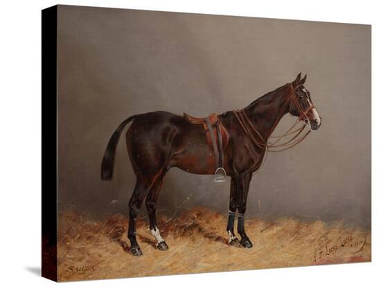 Stretched Canvas Print, , large