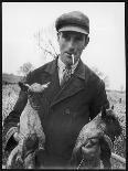 Shearing Sheep, Wales-Henry Grant-Photographic Print