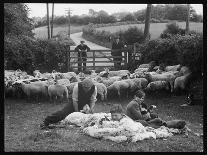 Students Taking their Exams at Hatfield Technical College-Henry Grant-Photographic Print