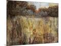 Wood Mount
