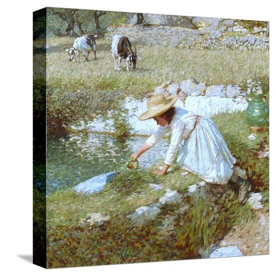 Stretched Canvas Print, , large