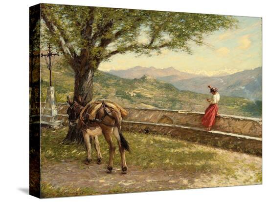 Stretched Canvas Print, , large