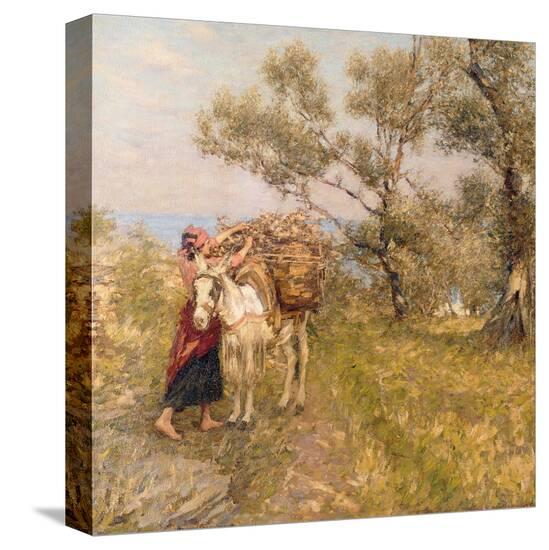 Stretched Canvas Print, , large
