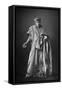 Henry Irving (1838-190), English Actor, 1893-W&d Downey-Framed Stretched Canvas