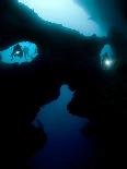 Sardines under the Boat-Henry Jager-Photographic Print