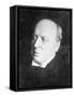Henry James, 1910-null-Framed Stretched Canvas