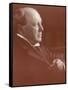 Henry James American Writer-Alvin Langdon-Framed Stretched Canvas