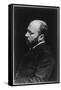 Henry James-null-Framed Stretched Canvas