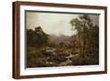 Brown Frame