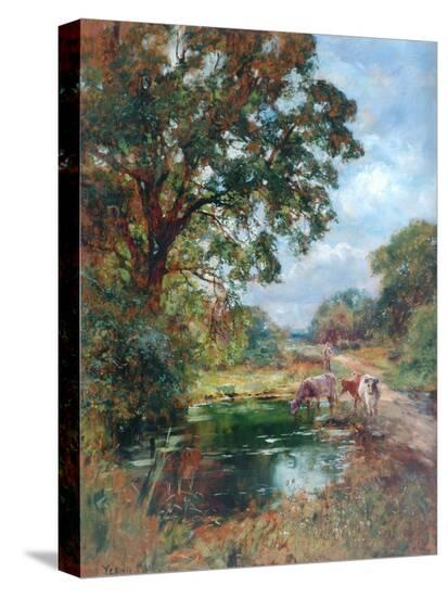 Stretched Canvas Print, , large