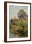 Brown Frame