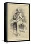 Henry Meilhac, French Playwright and Librettist-null-Framed Stretched Canvas