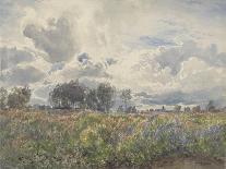 Sleighing Ferns-Henry Moore-Giclee Print