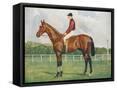 Framed Canvas