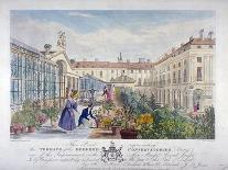 Bedford Conservatories' Terrace at Covent Garden Market, Westminster, London, 1831-Henry Pyall-Laminated Giclee Print