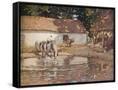 Canvas Black