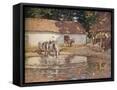 Framed Canvas