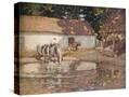 Stretched Canvas