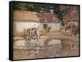 Canvas Black