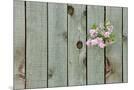 Wood Mount