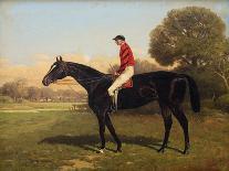 The Celebrated Race Horses 'Henry of Navarre', 'Monitor' and 'Dominoe'-Henry Stull-Stretched Canvas