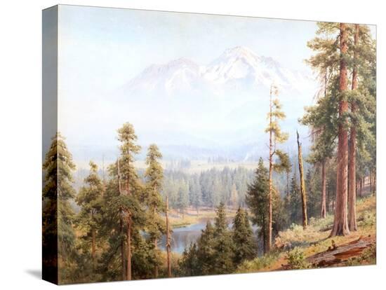 Stretched Canvas Print, , large
