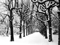 Magdalen College, Oxford, Oxfordshire in the Snow-Henry Taunt-Laminated Photographic Print
