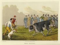 Bull Baiting-Henry Thomas Alken-Giclee Print
