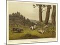 Wood Mount