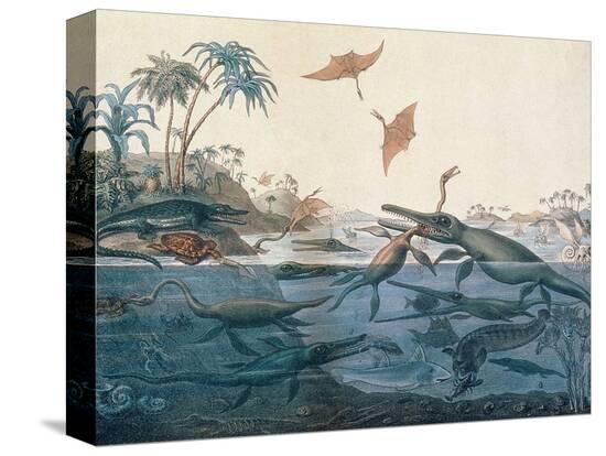 Stretched Canvas Print, , large