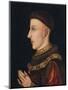 Wood Mount