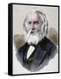 Henry Wadsworth Longfellow (1807 A?I? 1882). American Poet and Educator-null-Framed Stretched Canvas