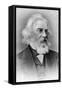 Henry Wadsworth Longfellow, American Poet and Teacher, Late 19th Century-null-Framed Stretched Canvas