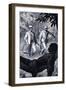 Henry Walter Bates and Alfred Russel Wallace-Severino Baraldi-Framed Giclee Print