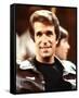 Henry Winkler, Happy Days (1974)-null-Framed Stretched Canvas