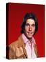 Henry Winkler-null-Stretched Canvas