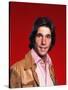 Henry Winkler-null-Stretched Canvas