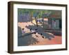 Hens and Chickens, Cuba, 1997-Andrew Macara-Framed Giclee Print