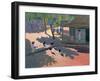 Hens and Chickens, Cuba, 1997-Andrew Macara-Framed Giclee Print