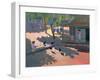 Hens and Chickens, Cuba, 1997-Andrew Macara-Framed Giclee Print