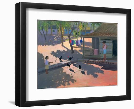 Hens and Chickens, Cuba, 1997-Andrew Macara-Framed Giclee Print