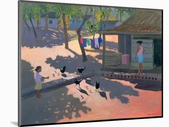 Hens and Chickens, Cuba, 1997-Andrew Macara-Mounted Giclee Print