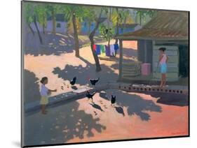 Hens and Chickens, Cuba, 1997-Andrew Macara-Mounted Giclee Print